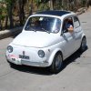 Burgio_2009 (344)